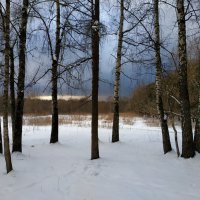 Апрель в Измайловском парке :: Андрей Лукьянов