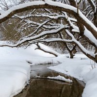 Снега много, но ручей не замёрз. :: Милешкин Владимир Алексеевич 