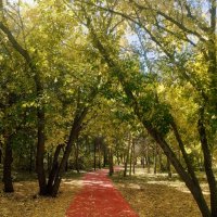 Солнечный женек :: Георгиевич 