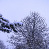 Вот такой апрель :: Людмила Смородинская