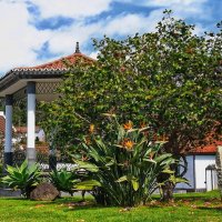 Magic Azores 35 :: Arturs Ancans