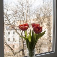 ... :: Елена Пономарева