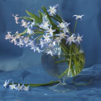 весна. :: Александра [-/