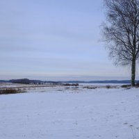 Зимний пейзаж в Михайловском :: Олег Зоркий Зимний пейзаж в Михайловском :: Олег Зоркий