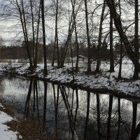 Весна :: Aleksandr Gal