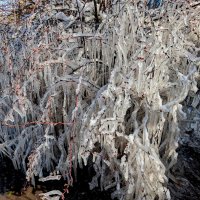 начало апреля 12 :: Александр Прокудин