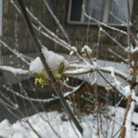 Единство и борьба противоположностей :: Андрей Лукьянов