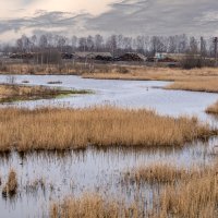 На городских окраинах. :: Игорь Сикорский