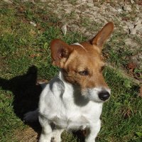 Милка :: Freddy 97