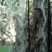 Водопад и лиана :: Alexandra Sakharova