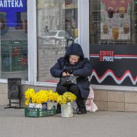 Весна - время нарциссов :: Татьяна Машошина