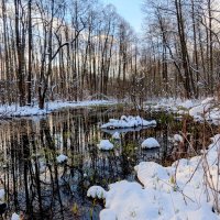 начало апреля 20 :: Александр Прокудин начало апреля 20 :: Александр Прокудин