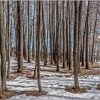 Апрель... :: Aquarius - Сергей