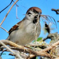 Всё для дома, для семьи. :: Восковых Анна Васильевна 