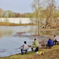 Охота пуще неволи! :: Восковых Анна Васильевна 