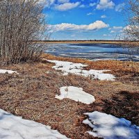 Май...Весна на протоке Чеускиной! :: Владимир 