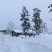 Зима в Финляндии :: Ольга 