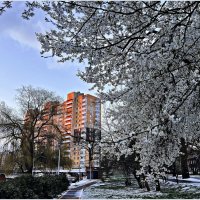 Утро. Немного снега. :: Валерия Комова