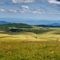 Лаго-Наки, любимые мои места :: Игорь Сикорский