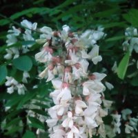 ,,, :: Сергей Тимоновский