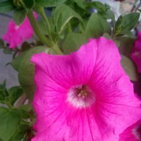 ,,, :: Сергей Тимоновский