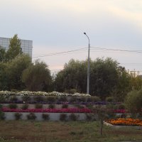 Цветочный флаг России :: Дмитрий Петров