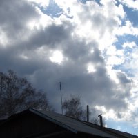 ......... :: Елена Шаламова