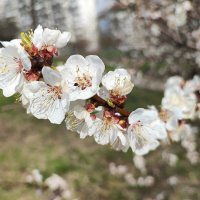 ,,, :: Сергей Тимоновский