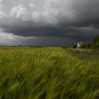*** :: Яна Горбунова