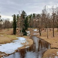 Утиная речка :: Лия ☼