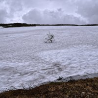 Одиночество. :: Юрий кот