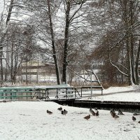 Ожидание :: Aleksandr Gal