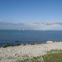 Туман дад бухтой :: Александр 