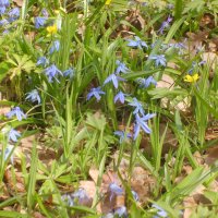 P :: Андрей Л. В. P :: Андрей Л. В.