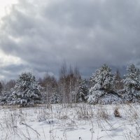 В апреле :: Сергей Цветков