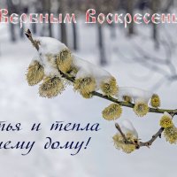 С Вербным Воскресеньем! :: Валерий Иванович