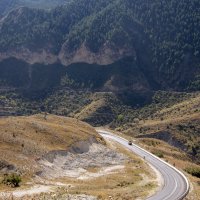 Дагестан :: Gen 