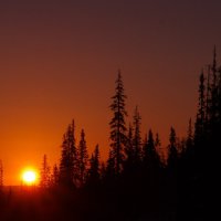 Рассвет :: Сергей Швечков