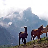 ПРОГУЛКА НА БОЛЬШОЙ ЧИМГАН - 2. :: Виктор Осипчук ПРОГУЛКА НА БОЛЬШОЙ ЧИМГАН - 2. :: Виктор Осипчук