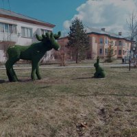 Фигуры из травы. :: Игорь Солдаткин