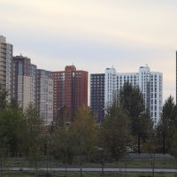 Новый микрорайон :: Дмитрий Петров