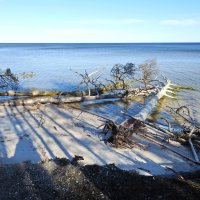 весна :: ИННА ПОРОХОВА