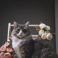 Девчуля :: Олег Куб