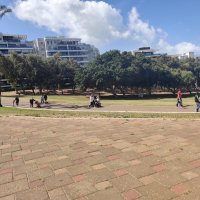 " :: Светлана Хращевская