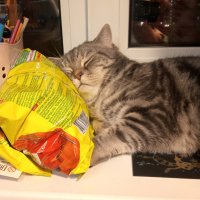 В любых условиях... :: Павел Трунцев