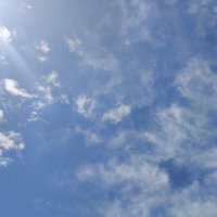 Люблю наблюдать за облаками. :: Светлана Хращевская Люблю наблюдать за облаками. :: Светлана Хращевская