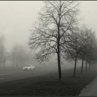 Ранним утром... :: Aleksandr Gal