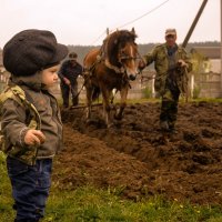 Весна :: Татьяна Аникина