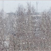 Прошлогодний снег... :: Aquarius - Сергей