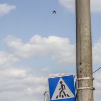 Пешеходный переход :: Коля Лукашов